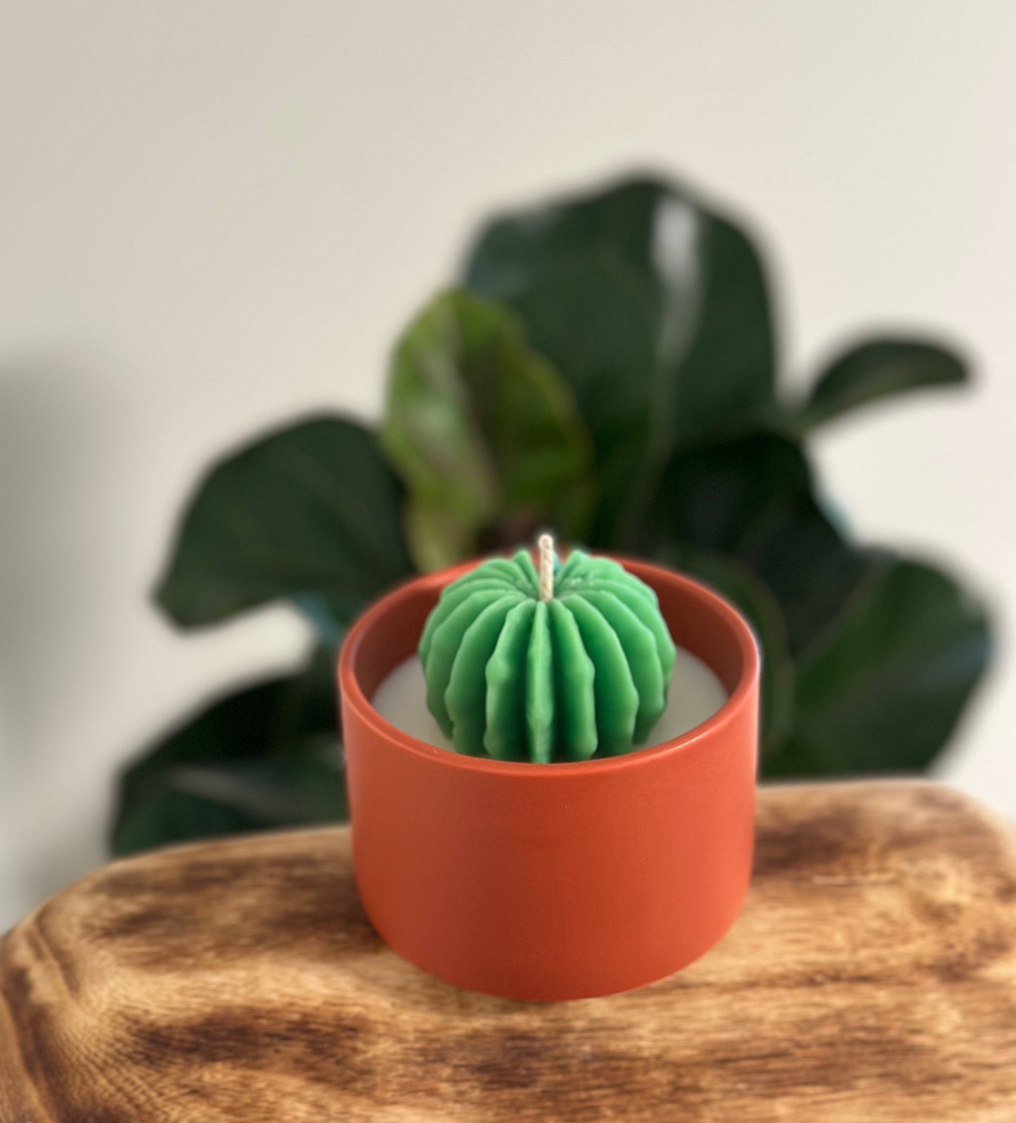 Mini Succulent Soy Candle