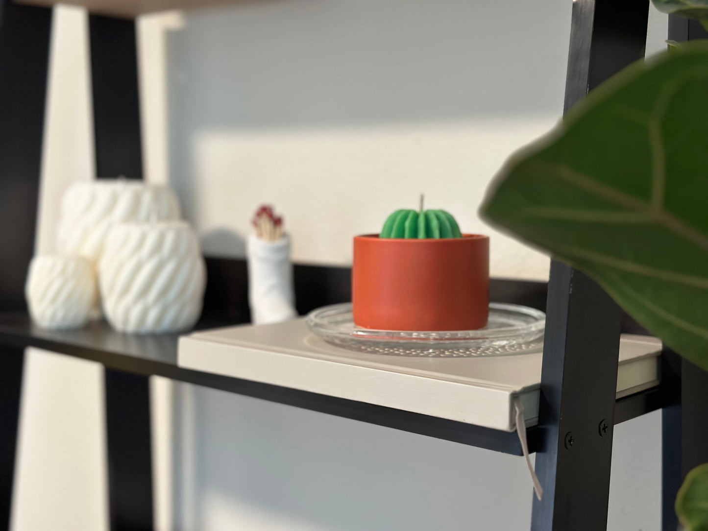 Mini Succulent Soy Candle